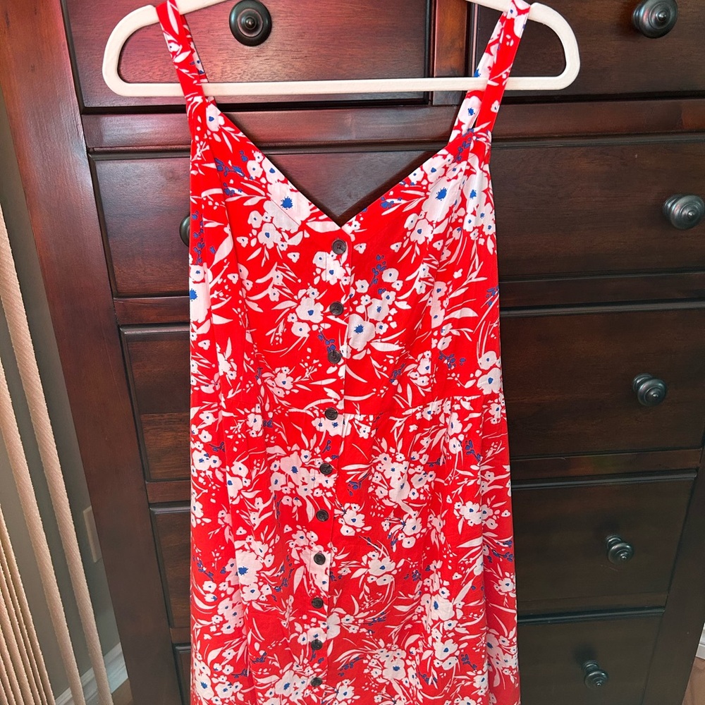 Banana Republic Red and Blue Floral Dress